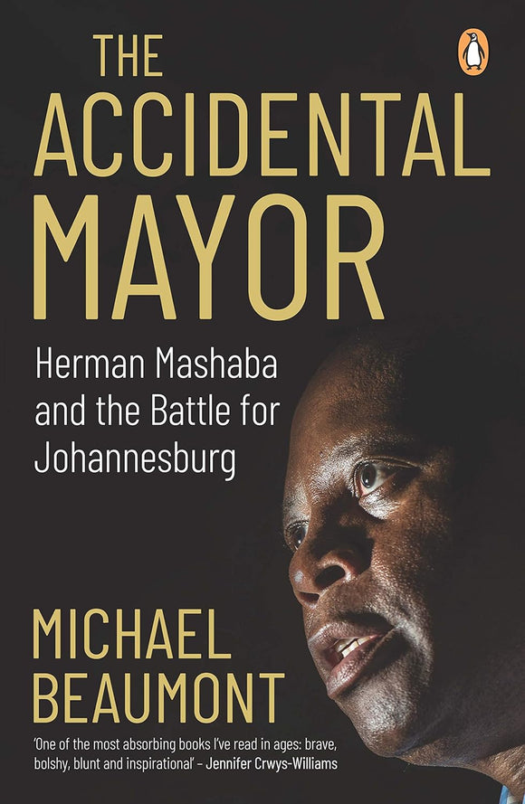 The Accidental Mayor by Michael Beaumont (Author)