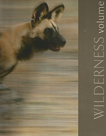 Wilderness Volume I