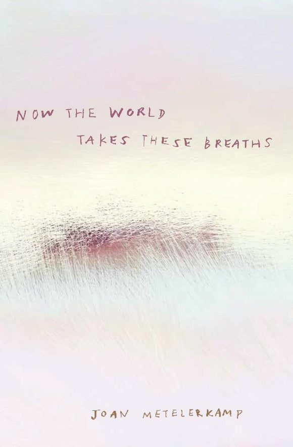 Now the World Takes These Breaths by Joan Metelerkamp (Author)