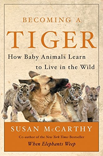 Becoming a Tiger: How Baby Animals Learn to Live in the Wild by Susan McCarthy (Author)