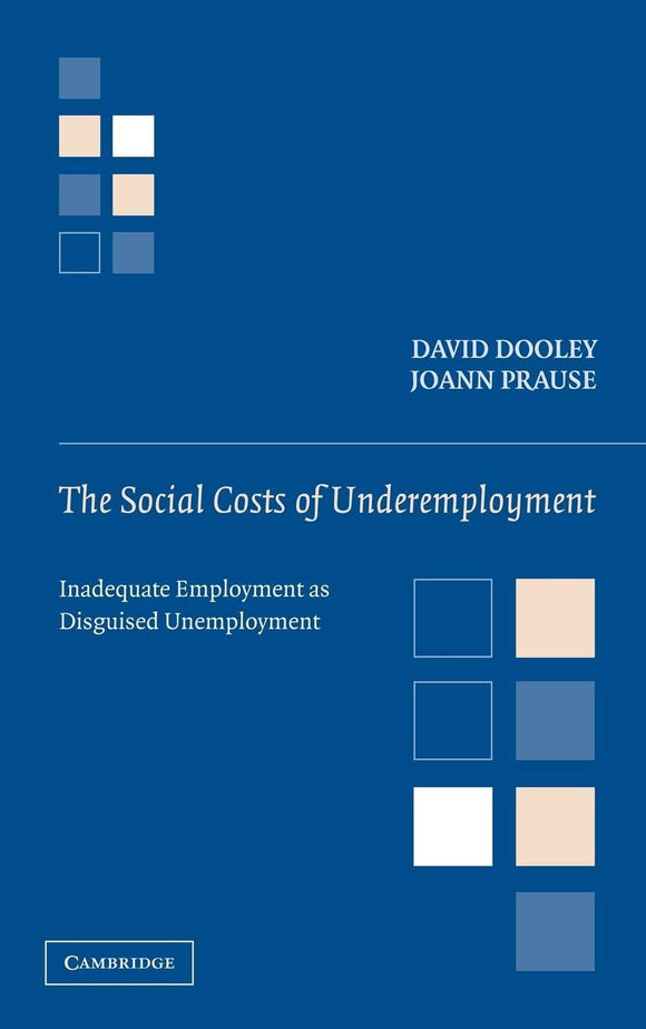 The Social Costs of Underemployment: Inadequate Employment as Disguised Unemployment by David Dooley (Author), JoAnn Prause (Author)