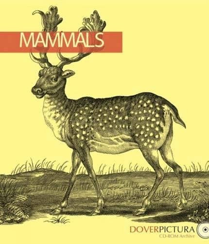 Mammals by Thalia Large (Author), Alan Weller (Author)