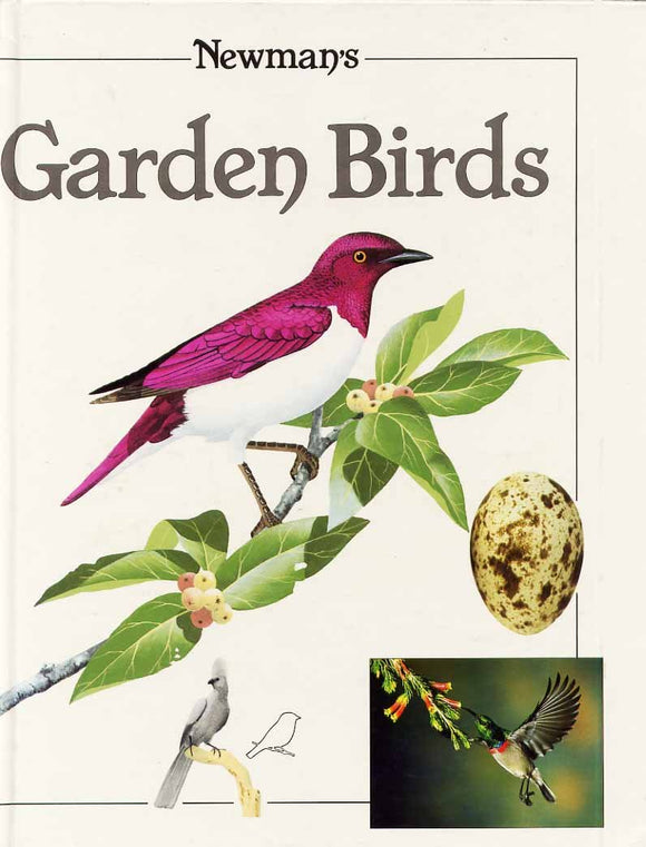 Newman's Garden Birds by Kenneth Newman (Author)