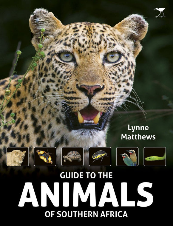 The Guide to the Animals of Southern Africa  by Lynne Matthews (Author)
