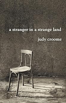 A stranger in a strange land by Judy Croome (Author)