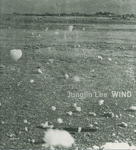 Jungjin Lee: Wind by Vicki Goldberg , Eugenia Parry, Jungjin Lee
