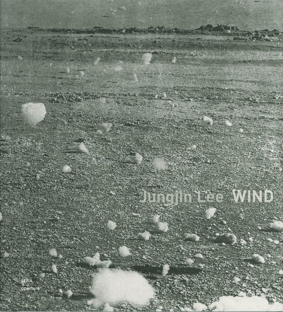 Jungjin Lee: Wind by Vicki Goldberg , Eugenia Parry, Jungjin Lee