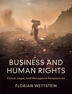 Business and Human Rights by Florian Wettstein (Author)