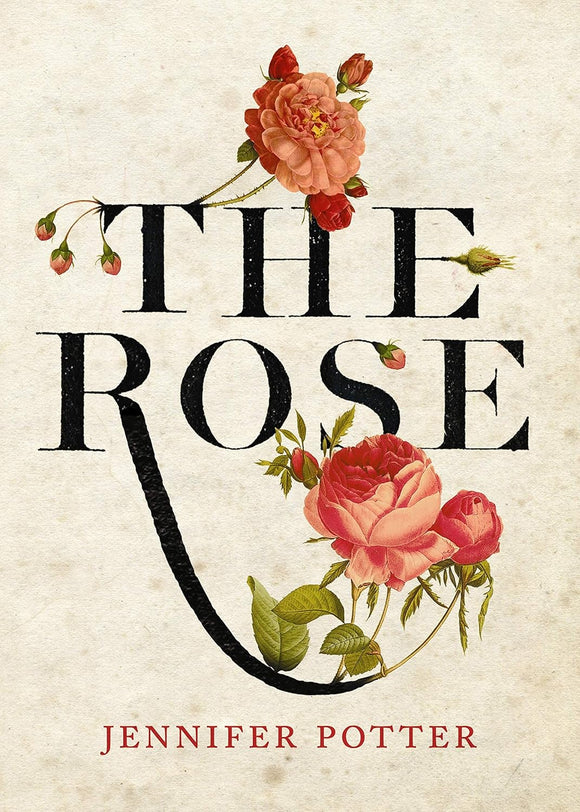 The Rose by Jennifer Potter (Author)