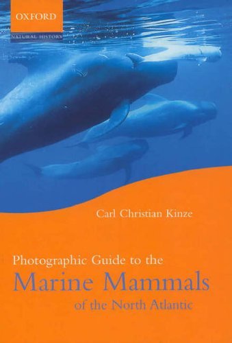 Photographic Guide to the Marine Mammals of the North Atlantic by Kinze Carl Christian