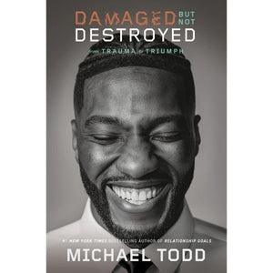 Damaged But Not Destroyed by Todd