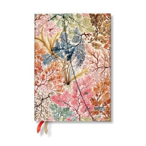 Anemone Midi Wtv Diary 2025 - William Kilburn (Diary) Paperblanks