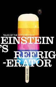 EINSTEIN'S REFRIGERATOR - Tales of the Hot and Cold by Gino Segre (Author)
