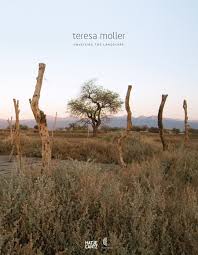 Unveiling the landscape by Teresa Moller