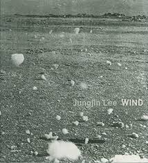 Jungjin Lee: Wind by Vicki Goldberg, Eugenia Parry, & 1 more