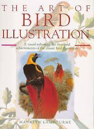 The Art of Bird Illustration: A Visual Tribute to the Lives and Achievements of the Classic Bird Illustrators (Art of Illustration) by Maureen Lambourne