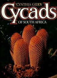 Cycads of South Africa by Barbara-Jeppe