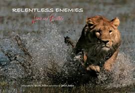 Relentless Enemies: Lions and Buffalo by Dereck Joubert