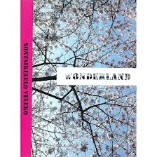 Wonderland: Standard Bank Young Artist of the Year, 2008
