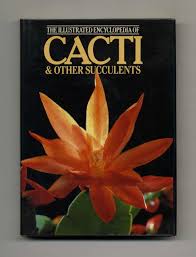 The Illustrated Encyclopedia of Cacti & Other Succulents by Riha, J. Subik, R. ( Gillian and Kenneth A. Beckett