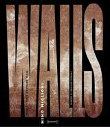 Nino Migliori: Walls by Eugenio RiccÚmini, Marilena Pasquali, Nino Migliori