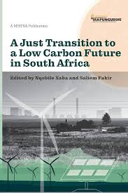 A Just Transition to a Low Carbon Future in South Africa by Nqobile Xaba, Saliem Fakir