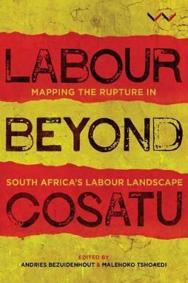 Labour Beyond Cosatu: Mapping the Rupture in South Africa's Labour Landscape, edited by Bezuidenhout, A. et al.