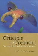 The Crucible of Creation by Morris, Simon Conway