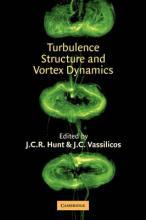 Turbulence Structure and Vortex Dynamics by Hunt, J. C. R.