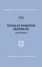 Totally Positive Matrices by Pinkus, Allan
