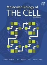 Molecular Biology of the Cell by Alberts, Bruce