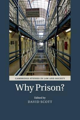 Why Prison? by  Scott, David