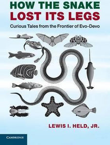 How the Snake Lost its Legs : Curious Tales from the Frontier of Evo-Devo byHeld, Lewis I. Jr
