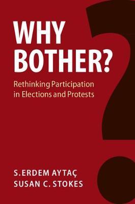 Why Bother? by Aytac, S. Erdem