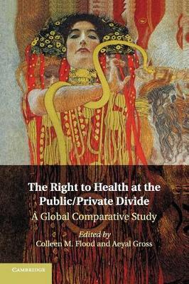 The Right to Health at the Public/Private Divide: A Global Comparative Study by Flood, Colleen M.
