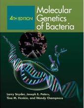 Molecular Genetics of Bacteria by Snyder, Larry