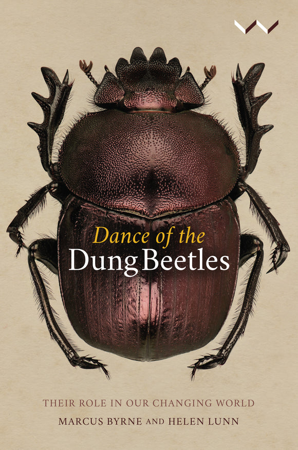 Dance of the Dung Beetles by Lunn, H & Byrne, M