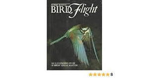 Bird Flight : An Illustrated Study of Bird's Aerial Mastery by Robert Burton
