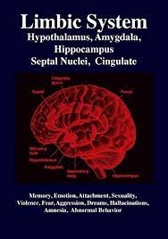 Limbic System : Amygdala, Hypothalamus, Septal Nuclei, Cingulate, Hippocampus: Emotion, Memory, Language, Development, Evolution, Love, Attachment, Sexuality, Violence, Fear, Aggression, Dreams, Hallucinations, Amnesia by Joseph, R Gabriel