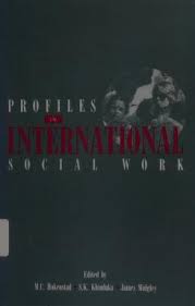 Profiles in International Social Work by Hokenstad, Merl C.