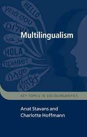 Multilingualism (Key Topics in Sociolinguistics) by Stavans, Anat